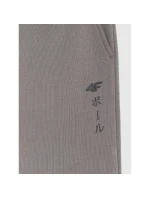 Chlapecké tepláky  model 21736566 - 4F