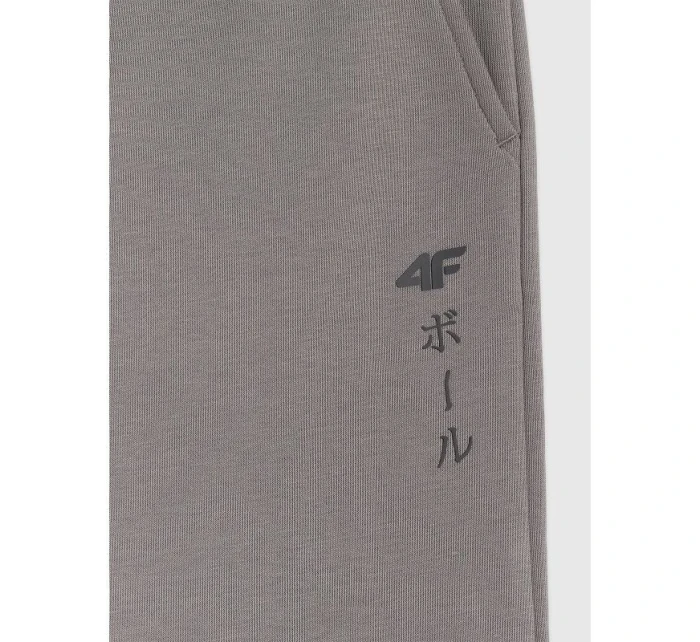 Chlapecké tepláky  model 21736566 - 4F