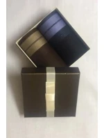 Pánske vreckovky CH-760 sada 2 ks - EGA