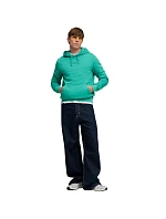 Pánská mikina ESS No.1 Logo Hoodie green 40 pánské model 22063416 - Puma Pánská mikina ESS No.1 Logo Hoodie green 40 pánské model 22063416 - Puma