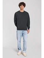 Iconic 250 SetIn Sweat Mikina model 22459207 light graphite - Fruit of the Loom Iconic 250 SetIn Sweat Mikina model 22459207 light graphite - Fruit of the Loom