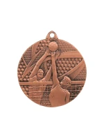 bronzová medaila - volejbal