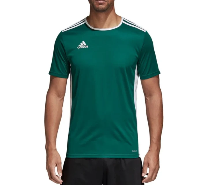 Tričko adidas Entrada 18 Jr CD8358