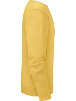 Russell Athletic 262M Mikina "Authentic" 10.262M mustard yellow Russell Athletic 262M Mikina "Authentic" 10.262M mustard yellow