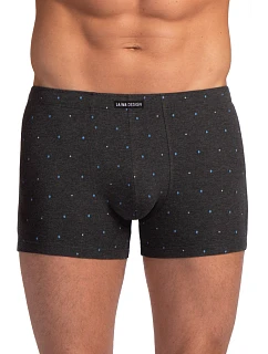 PÁNSKÉ ŠORTKY model 22106969 2PACK 3XL4XL - Lama