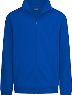 Pánská mikina 40. royal model 22516956 - Promodoro
