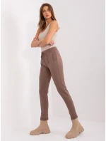 Tepláky RV DR 8692.21 hnedá Tepláky RV DR 8692.21 hnedá