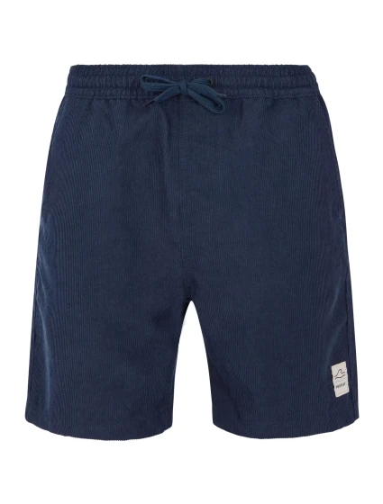 Pánske šortky Protest PRTULEY