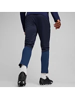 Team Goal Training M kalhoty model 21062315 06 - Puma