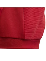 Detská mikina adidas Tiro 23 Competition Hoodie červená HI3052