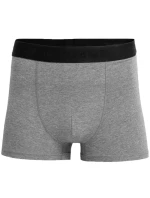 Pánské slipy M model 17222662 - 4F