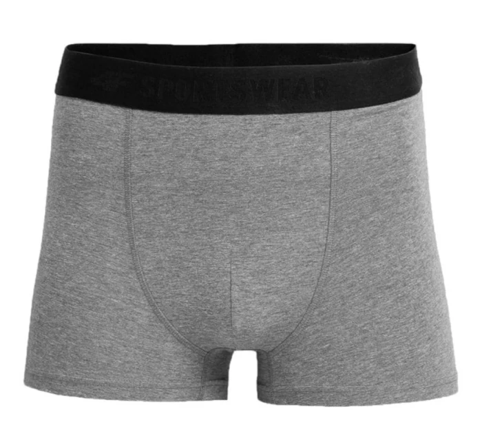 Pánské slipy M model 17222662 - 4F