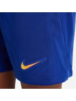Nike Chelsea FC 2023/24 JSY Stadium Home Junior Soccer Kit DX2799-496