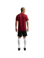 DriFit Park VIII pánské tričko bordó  pánské model 21910905 - NIKE