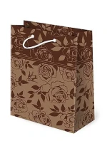 Tlapka T-4 Kraft Set 130 Classic A'10 Bag