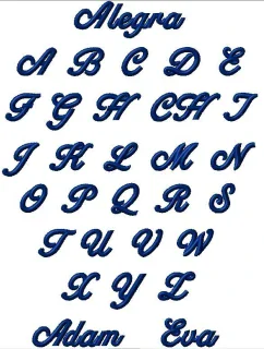 model 21193581 - Vestis