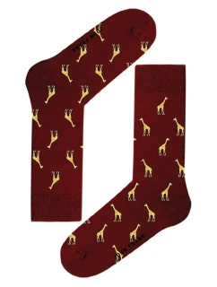 Pánské ponožky model 21791824 - John Frank