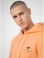 Pánská mikina 4F Pánská mikina 4F