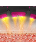 S A + HMS model 21810849 S A + HMS model 21810849