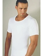 Pánské tričko model 22095426 - Gemini Pánské tričko model 22095426 - Gemini