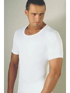 Pánské tričko model 22095426 - Gemini