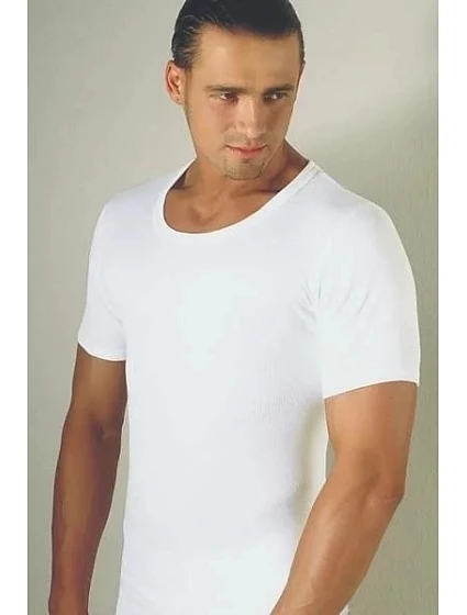 Pánské tričko model 22095426 - Gemini Pánské tričko model 22095426 - Gemini