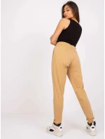 Tepláky TW DR 1033.16P ťava