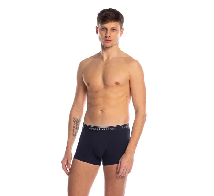 PÁNSKE ŠORTKY M-1021SZG 3PACK