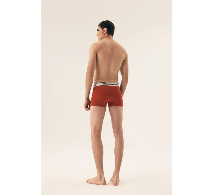 PÁNSKÉ BOXERKY 2 PAK SS25 model 20944296 - Henderson