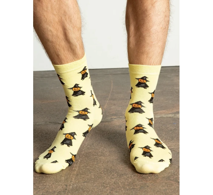 Ponožky WS SR model 14827704 vícebarevné - FPrice Ponožky WS SR model 14827704 vícebarevné - FPrice