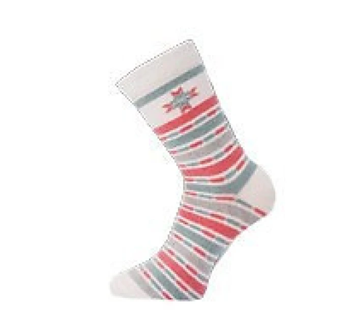 Dámské teplé ponožky vzor  model 21881226 - WiK