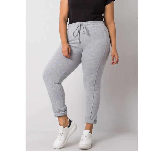 Tepláky RV DR 6300.19 sivá