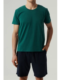 Atlantic NMP-379 farba:smaragdová/zelená