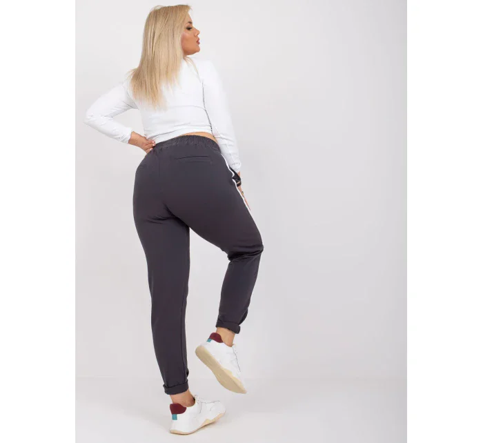 Tepláky RV DR 6643.95 grafit