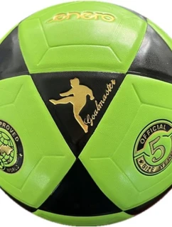 TEAM R.5 model 21825073 - Enero