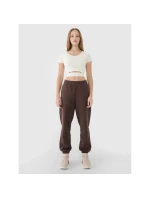 Dámske hladké tričko 4F 4FRSS25TTSHF2695-11S