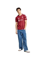 Liverpool FC pánské tričko červené pánské model 22207846 - ADIDAS