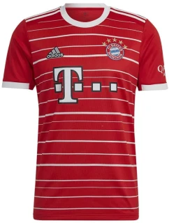Tričko FC Bayern H Jsy M model 21309496 pánské - ADIDAS