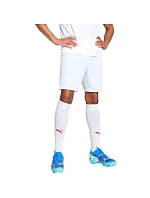 Puma Team Goal pánske šortky biele 705752 04 Puma Team Goal pánske šortky biele 705752 04