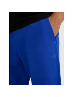 Pánské tepláky model 22099262 - 4F