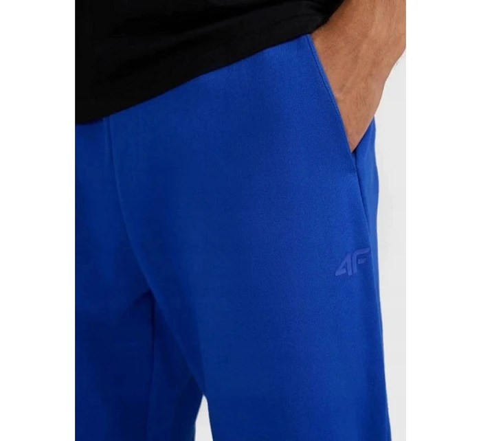 Pánské tepláky model 22099262 - 4F