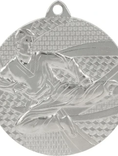 Strieborná medaila - karate - oceľová medaila