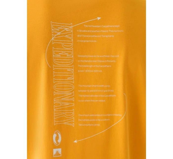 Pánske tričko oversize s potlačou 4F 4FRAW24TTSHM2578-70S