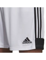 Šortky adidas Tastigo 19 M DP3247
