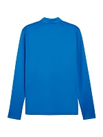 Puma TeamGoal Training Jacket M 658633 02 muži