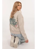 Model mikiny s kapucňou 203486 Podúroveň Model mikiny s kapucňou 203486 Podúroveň