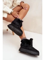 Dámské Sněhule Na Platformě S Kožešinou A Šněrováním Big Star model 21705911 Černé - Big Star Shoes