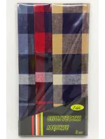 Pánské kapesníky  kusy model 21096977 - EGA