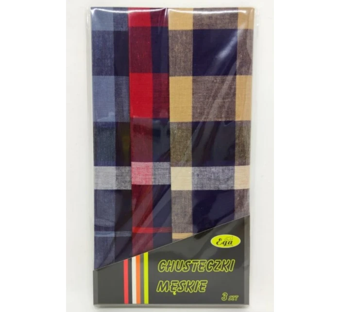 Pánské kapesníky  kusy model 21096977 - EGA