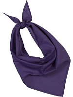 KP 064 Šátek  purple model 22423138 - K-up